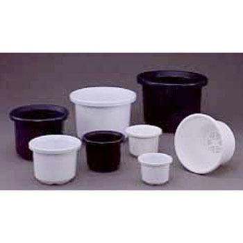 4�� �e�B���g���� �A�C���X�I�[���} 23780688