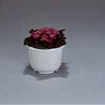 5号 ティルト中鉢 アイリスオーヤマ 23780706