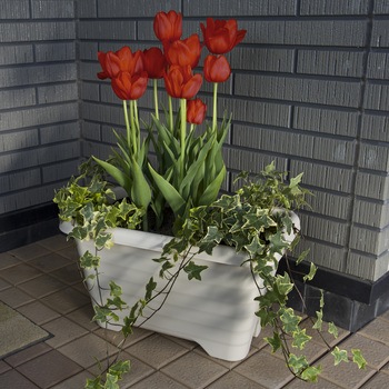 エアープランター アイリスオーヤマ プランター 通販モノタロウ