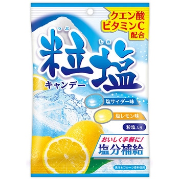 62g粒塩キャンディー 1箱(62g×20袋) 扇雀飴本舗 【通販モノタロウ】