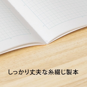 スクールライン A4 方眼罫ノート 日本ノート
