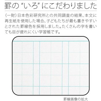 爆安セール まとめ アピカ 科目名入り かんじドリル 84字 50セット やる気が起こる 勉強がはかどる 自主的な学びをサポート 即発送可能 Institutoedinheiromarica Org