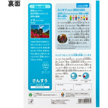 かんがえる学習帳 算数17マス 日本ノート