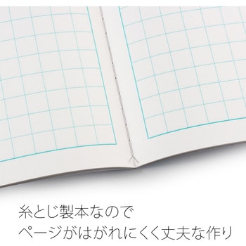 カレッジアニマルさんすう17マス=付 日本ノート