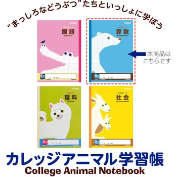 カレッジ科目名入り5mm方眼ノート算数 日本ノート 学習帳 ごほうびシール 通販モノタロウ Lp