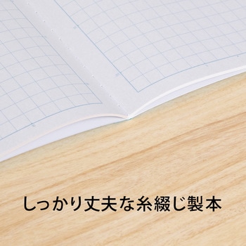スクールノート チェック柄 10mm方眼罫 日本ノート