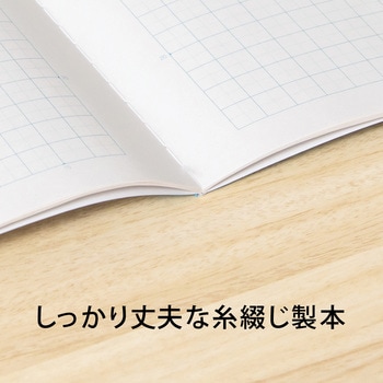 スクールノート セミA4 チェック柄 5mm方眼罫 - 日本ノート
