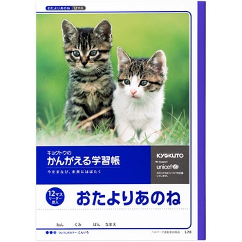 おたよりあのね 12マス リーダー 日本ノート