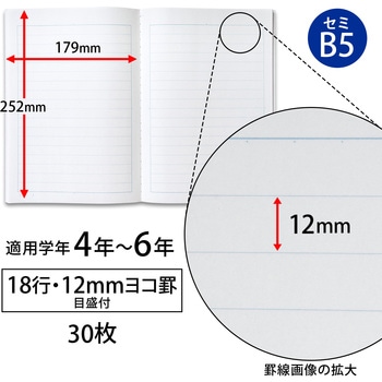 スクールノート B5 横罫 日本ノート