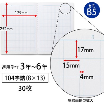 スクールノート B5 特殊罫 日本ノート