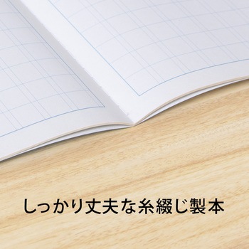 スクールノート B5 特殊罫 日本ノート