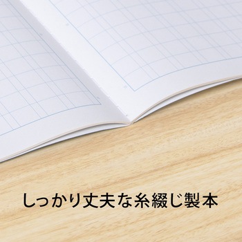 スクールノート B5 特殊罫 日本ノート