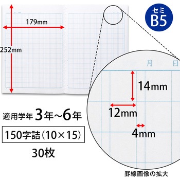 スクールノート B5 特殊罫 日本ノート