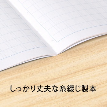スクールノート B5 特殊罫 日本ノート