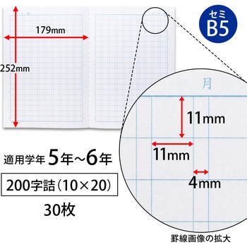 スクールノート B5 特殊罫 日本ノート