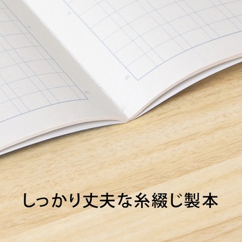 スクールノート B5 特殊罫 日本ノート