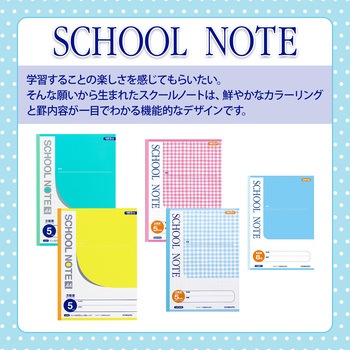 スクールノート B5 特殊罫 日本ノート