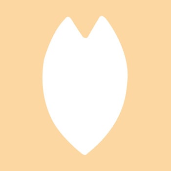 キュアパンチ スモール Sakura Petal 呉竹