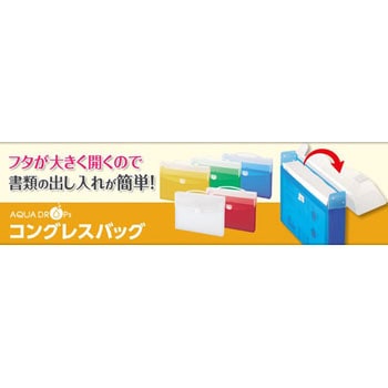 コングレスバッグ A4 リヒトラブ