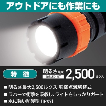 LEDラバーライト ELPA