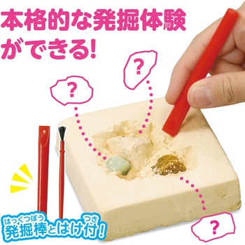 ドキドキ!宝石の原石採掘体験 アーテック(学校教材・教育玩具)
