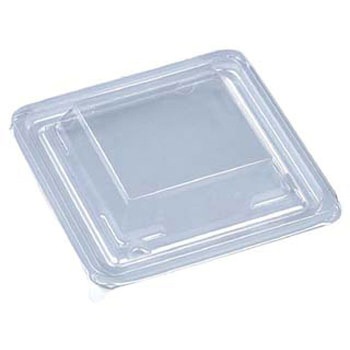 T-K405 ƍW(APET) GtsR 24419904