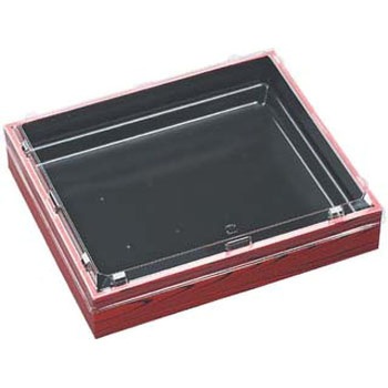 WPS-p255-220 ԏĔڍ Wt GtsR 24441893