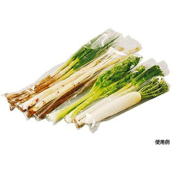 150�~900 SB#25 4H�v�� �G�t�s�R�`���[�p 24447737