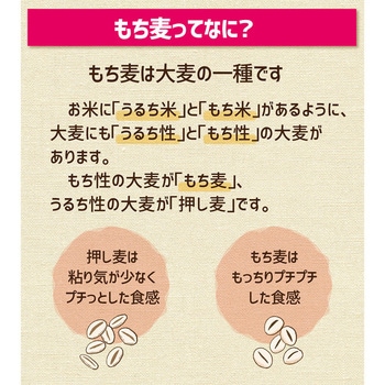 兵庫育ちのもち麦2kg マルヤナギ