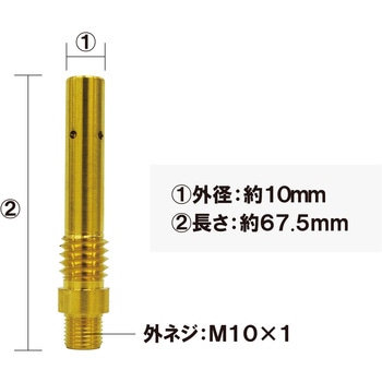 チップボディ 東安