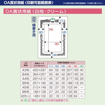 10-1051 OA賞状用紙 白 横書用 1冊(10枚) ササガワ(タカ印) 【通販