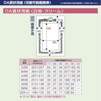 10-1181 OA賞状用紙 白 横書100 1箱(100枚) ササガワ(タカ印) 【通販