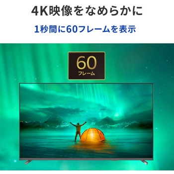 3辺フレームレス 55型4K液晶ディスプレイ I ・O DATA(アイ・オー・データ)
