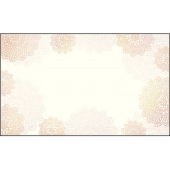 16-1636 V[J[h hTCY oGeB ^J(TTK) 24501548