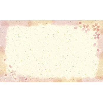 17-5451 V[J[h hTCY oGeB ^J(TTK) 24504034