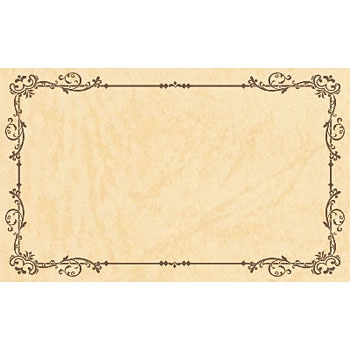 17-6159 V[J[h oGeB ^J(TTK) 24504208