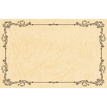 17-6259 V[J[h oGeB ^J(TTK) 24504305