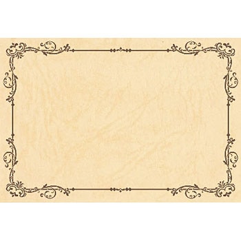 17-6359 V[J[h oGeB ^J(TTK) 24504393