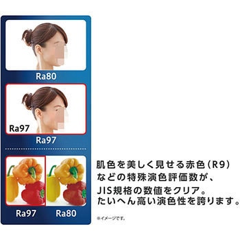 蛍光灯20形LED 高演色タイプ