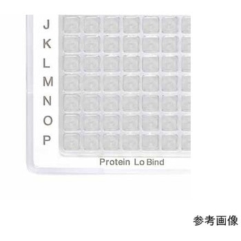 ディープウェルプレート 96/500 Eppendorf(エッペンドルフ)