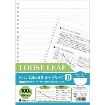 きれいにまとまるルーズリーフ サンフレイムジャパン