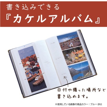 ハーパーハウス レミニッセンス カケルアルバム セキセイ