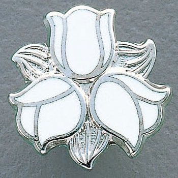 CT-3 �i�[�X�^�b�N �i�K�C���[�x�� 24761354