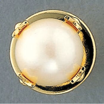 CT-6 �i�[�X�^�b�N �i�K�C���[�x�� 24761372