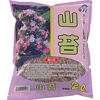 ‐ 山苔 あかぎ園芸 24771617