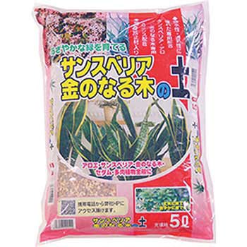 サンスベリア・金のなる木の土 あかぎ園芸
