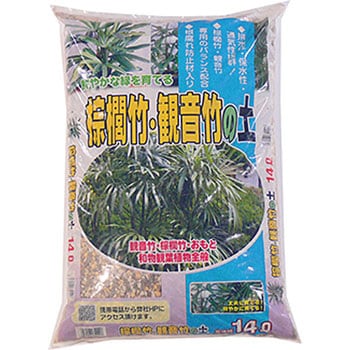 棕櫚竹・観音竹の土 あかぎ園芸