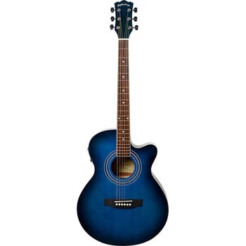 EAW-01/BLS(S.C) エレクトリックアコースティックギター 1本 Sepia 