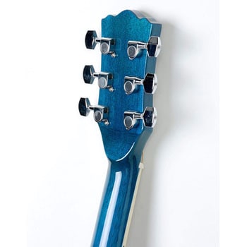 EAW-01/BLS(S.C) エレクトリックアコースティックギター 1本 Sepia