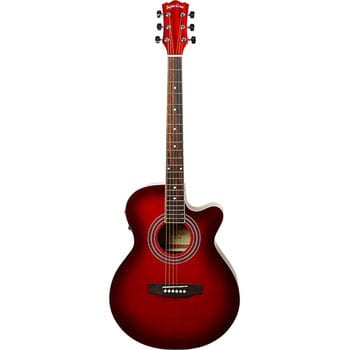 EAW-01/RDS(S.C) エレクトリックアコースティックギター 1本 Sepia